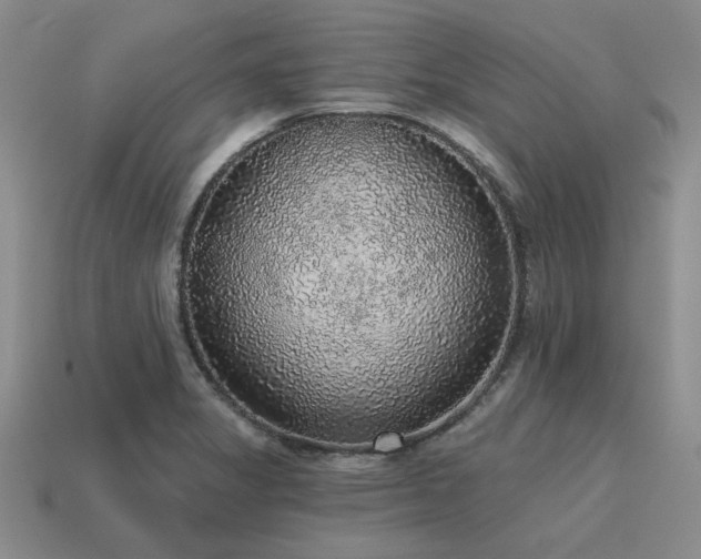 X0000115611325200911101419
