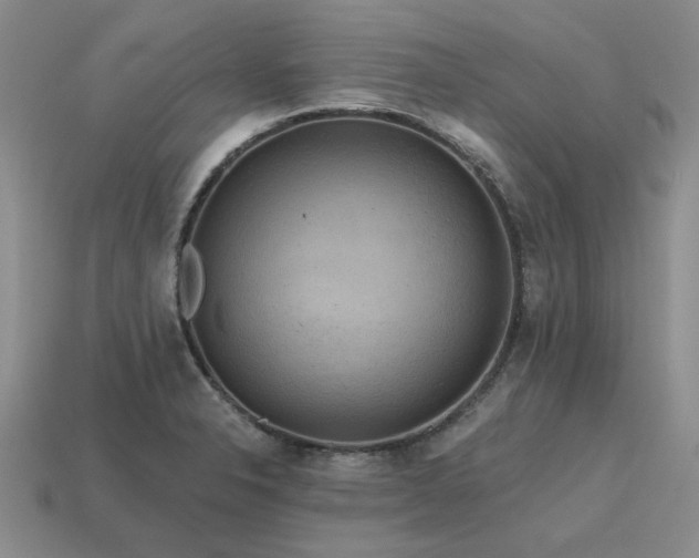 X0000115611326200911101419