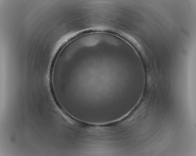 X0000115611327200911101419