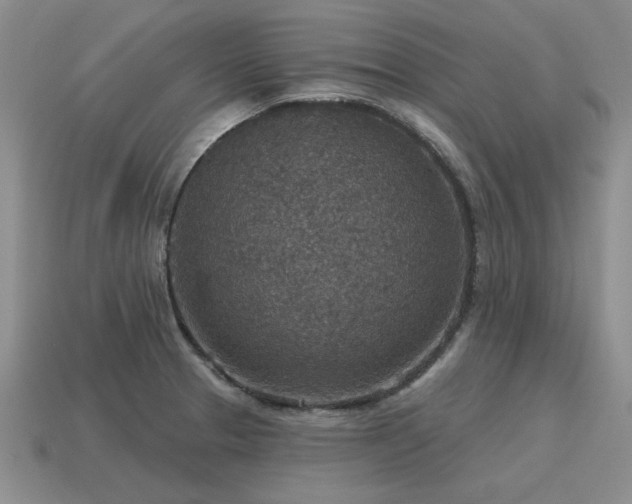 X0000115611329200911101419