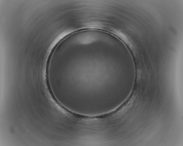 X0000115611331200911101419