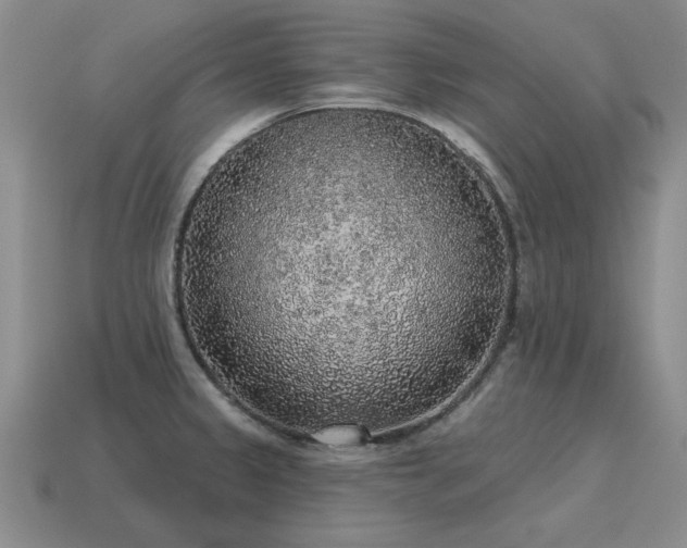 X0000115611333200911101419