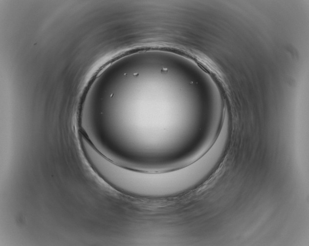 X0000115611334200911101419