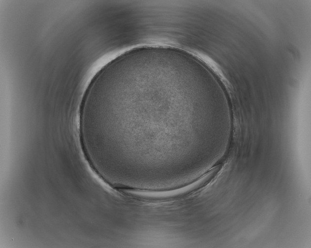X0000115611335200911101419
