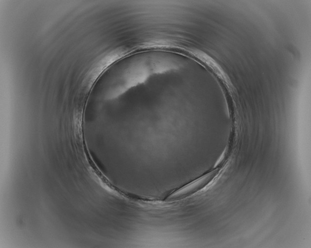 X0000115611337200911101419