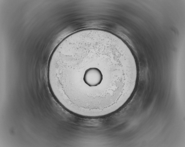 X0000115611338200911101419