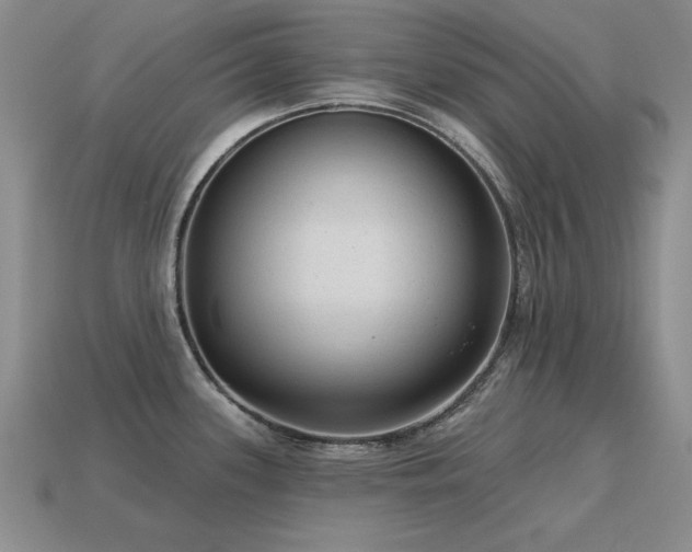X0000115611339200911101419