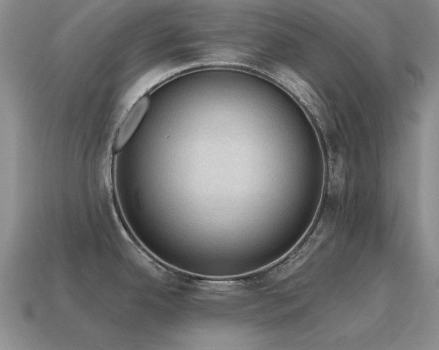 X0000115611342200911101419