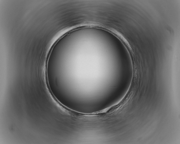 X0000115611343200911101419