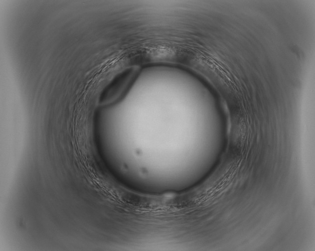 X0000115611345200911101418