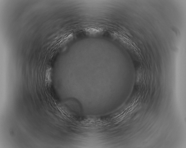 X0000115611346200911101418