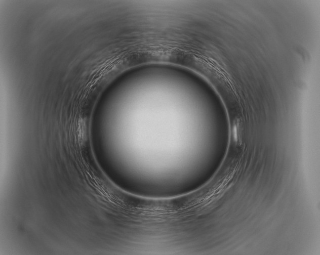 X0000115611347200911101418
