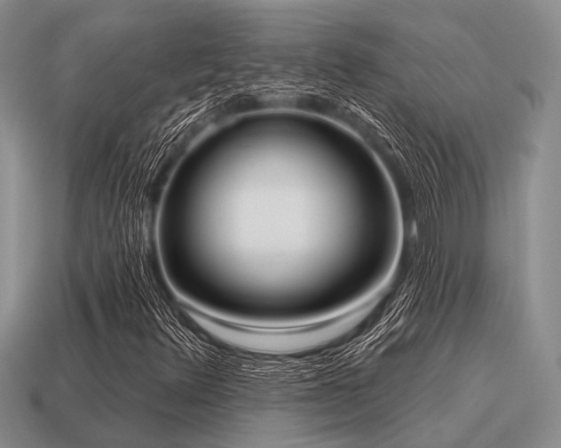 X0000115611348200911101418