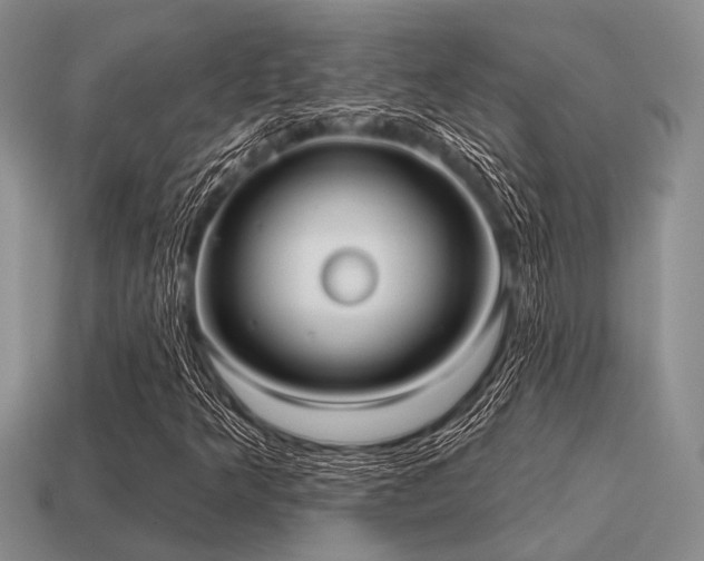 X0000115611349200911101418