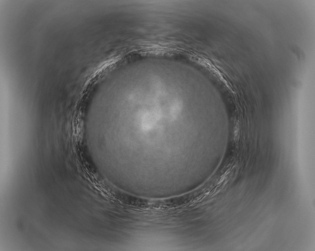 X0000115611350200911101418