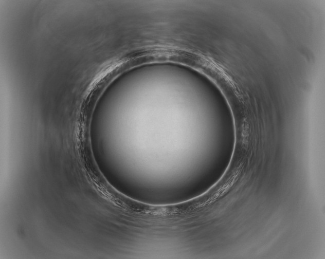 X0000115611352200911101418