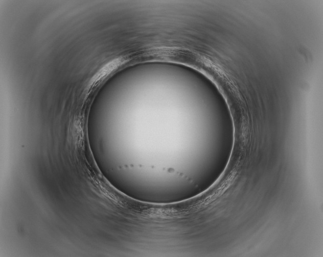 X0000115611354200911101418