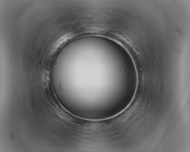 X0000115611355200911101418