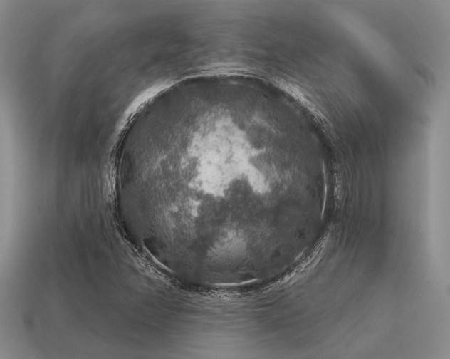 X0000115611358200911101418