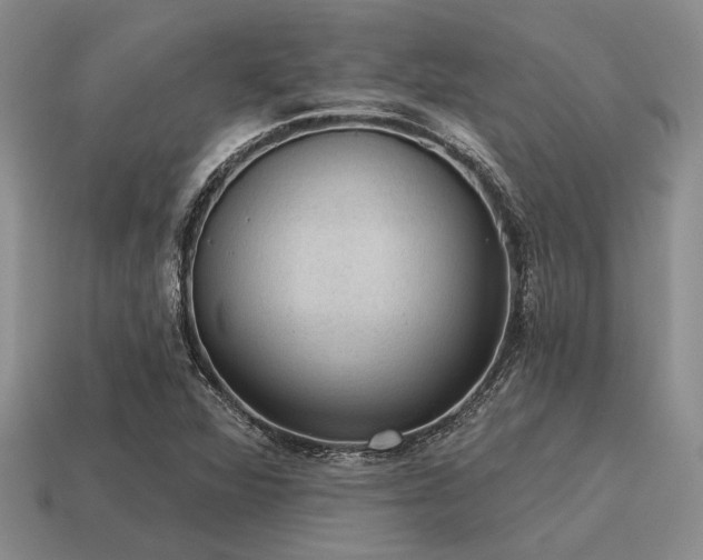 X0000115611360200911101418