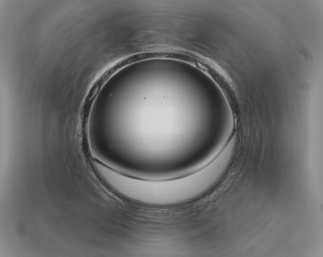 X0000115611364200911101418