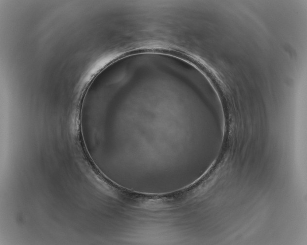 X0000115611367200911101418