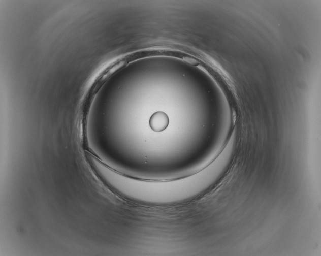 X0000115611368200911101418