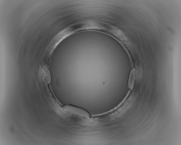 X0000115611369200911101418