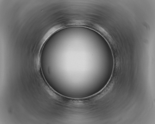 X0000115611370200911101418
