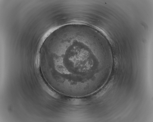 X0000115611371200911101418
