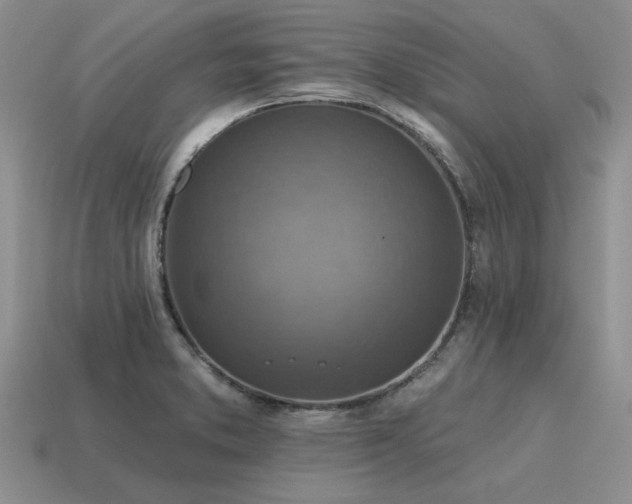 X0000115611373200911101418