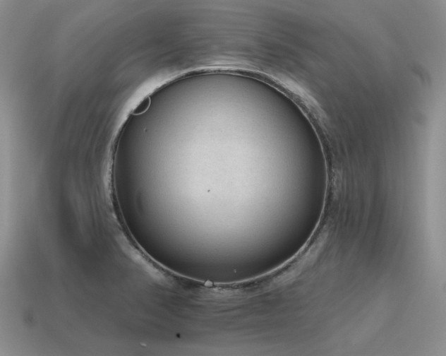 X0000115611374200911101418