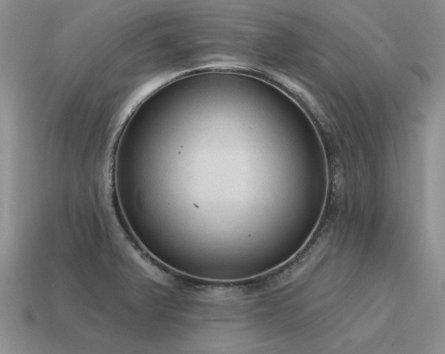 X0000115611375200911101418
