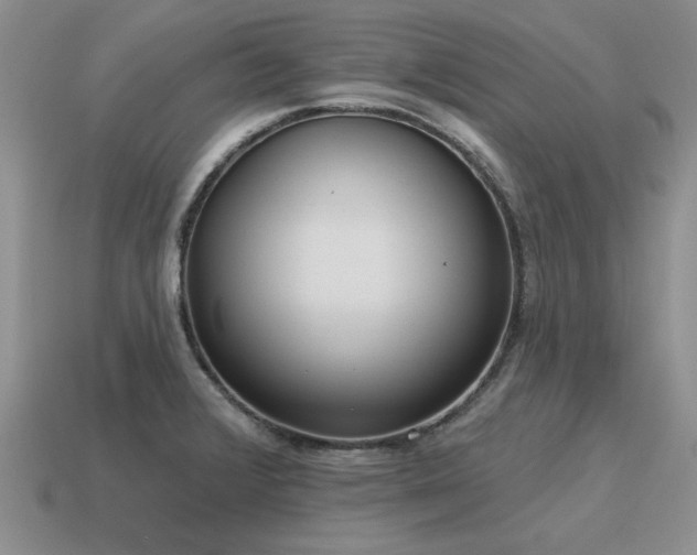 X0000115611376200911101418
