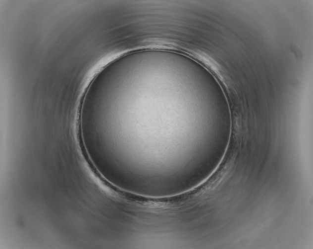 X0000115611379200911101418