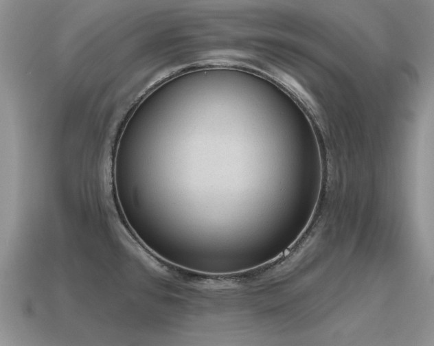 X0000115611384200911101418