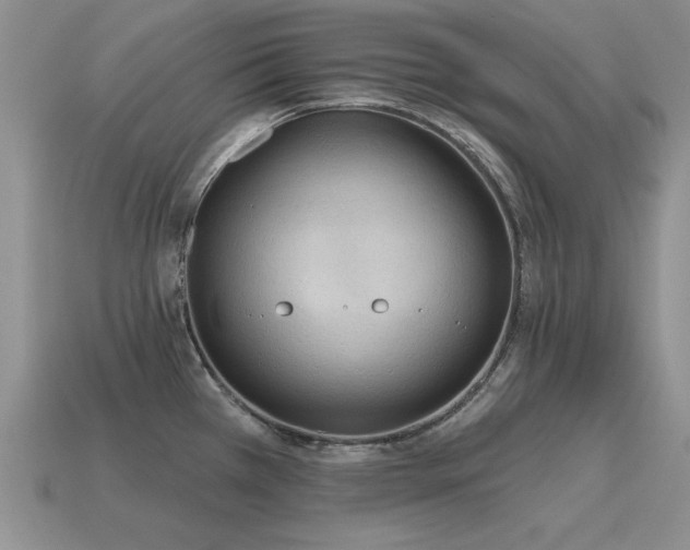 X0000115611385200911101418