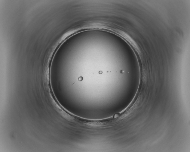X0000115611388200911101418