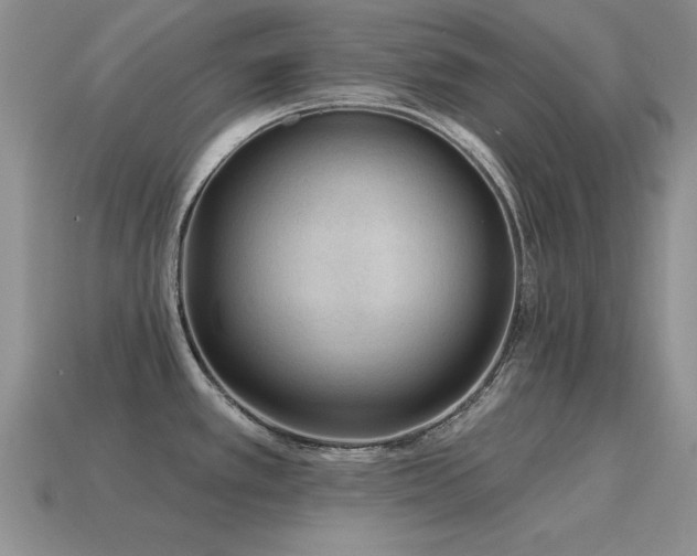 X0000115611389200911101418