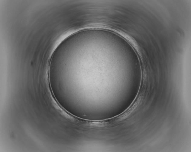 X0000115611390200911101418