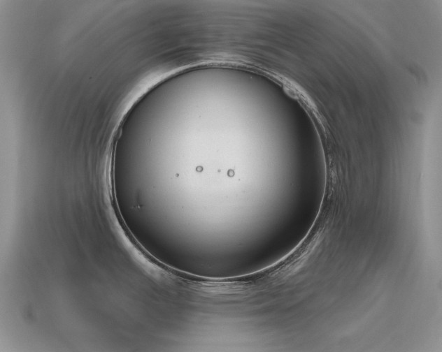 X0000115611391200911101418