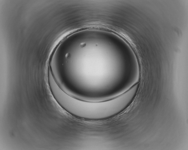 X0000115611392200911101418