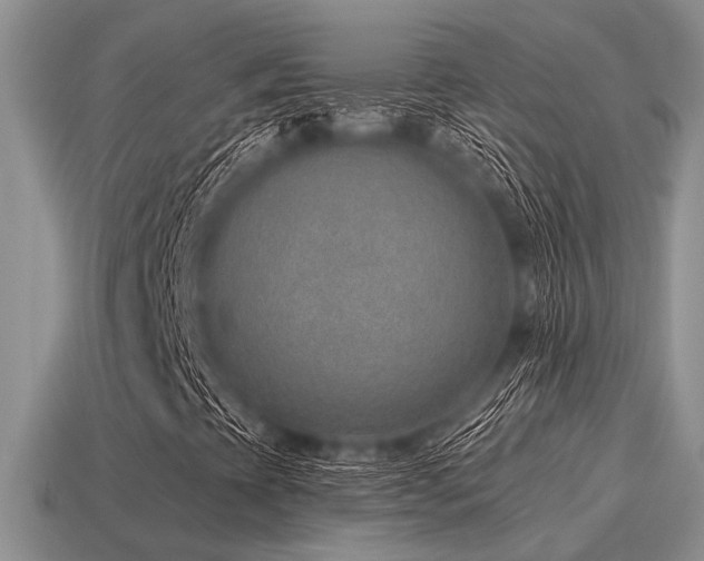 X0000115611393200911101417