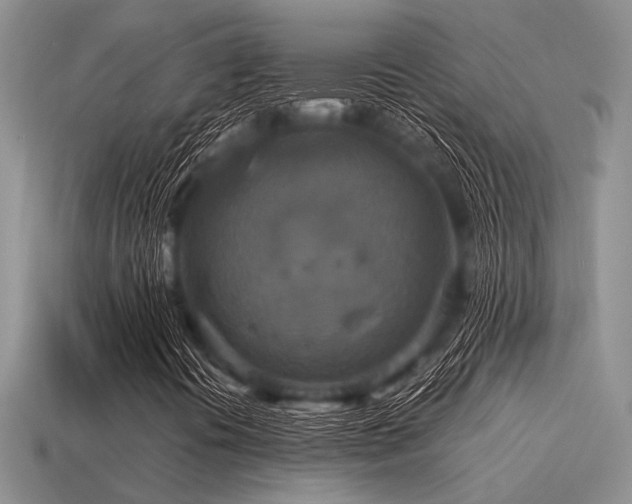 X0000115611394200911101417