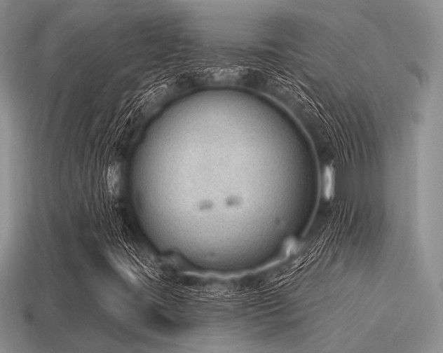 X0000115611395200911101417