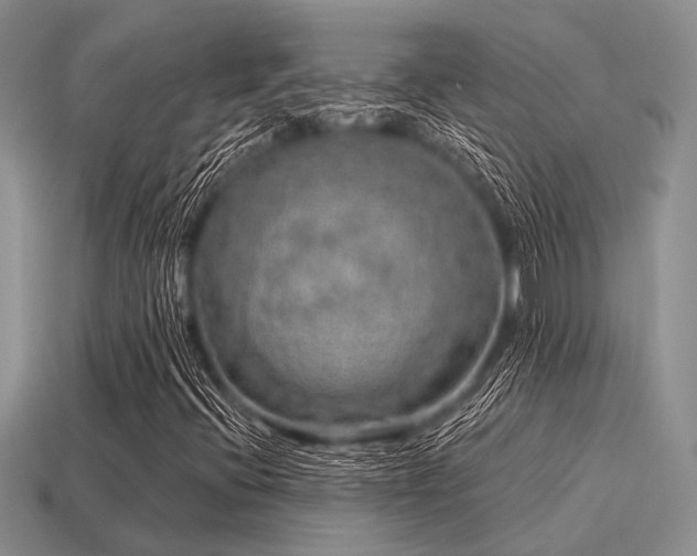 X0000115611396200911101417