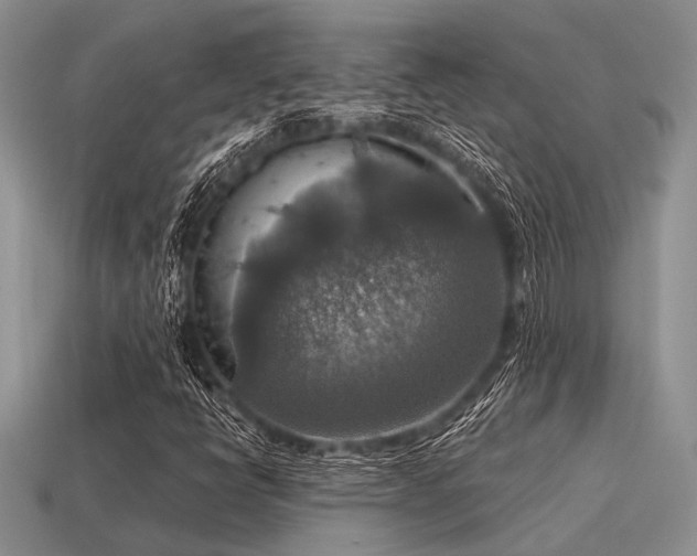 X0000115611398200911101417