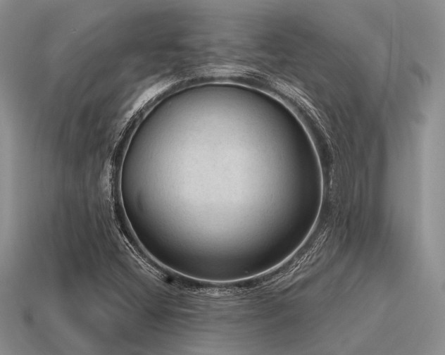 X0000115611404200911101417