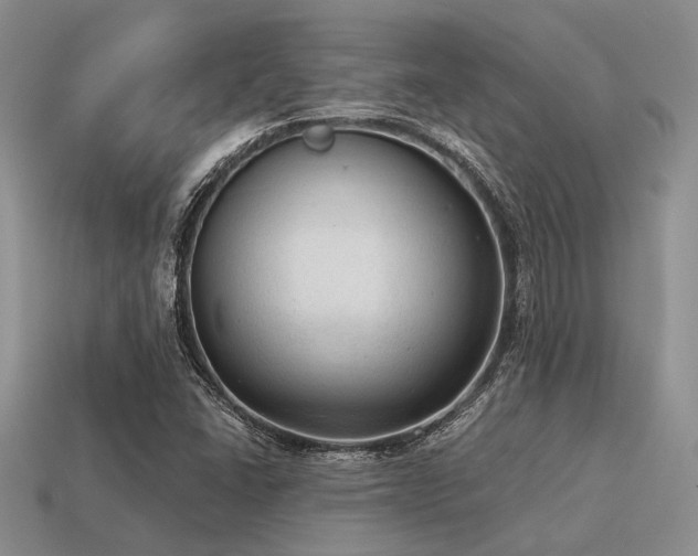 X0000115611406200911101417