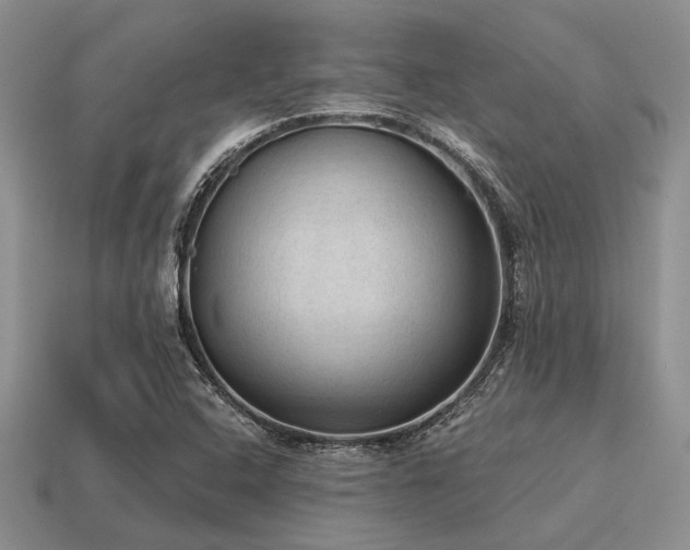 X0000115611408200911101417
